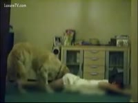 Teen animal sex with a dog